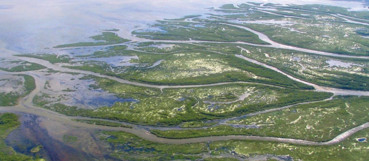 Preserving the SK River Delta